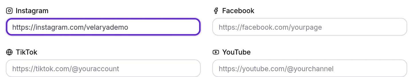 Business & App, the Instagram, Facebook, TikTok and YouTube fields with an Instagram link entered