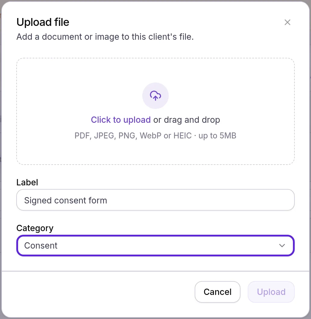 Upload file dialog with the drop box for PDFs and images up to 5MB, a Label and Category set to Consent